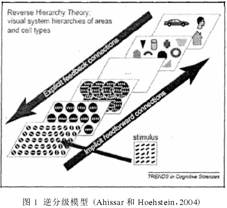 逆分级模型