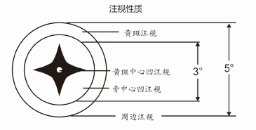 注视性质检查