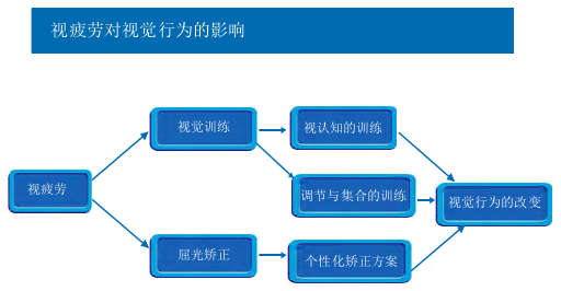 视疲劳对视觉行为的影响