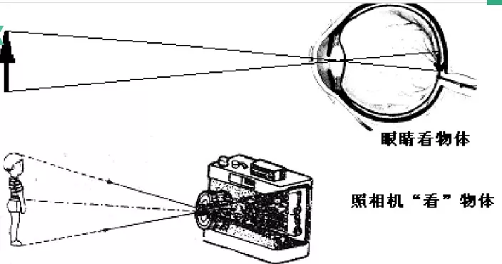 7333313a8687588.jpg